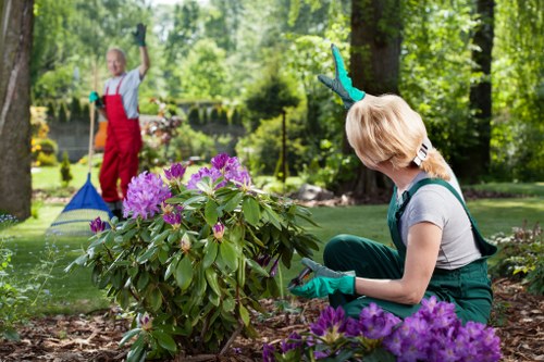 Gardener in Mitcham inspecting a community garden bed